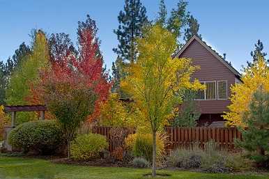 home ready for fall cleaning and maintenance with autumn leaves surrounding it