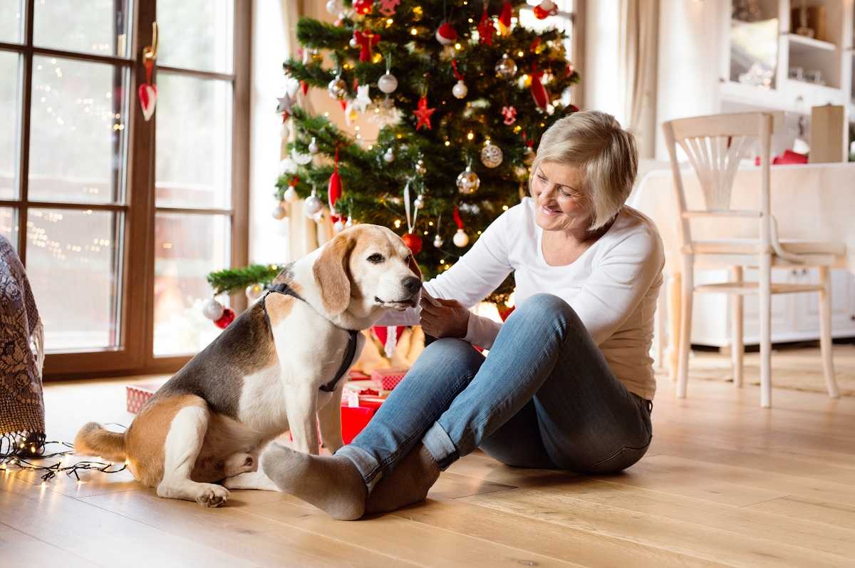 clean living room with holiday tree after using holiday cleaning checklist