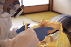 biohazard cleanup services