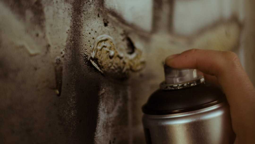 mold abatement services