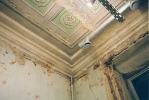 mold abatement cost
