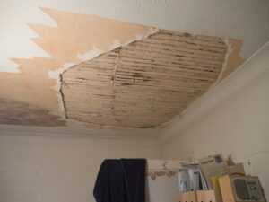 mold growth hidden behind removed drywall section