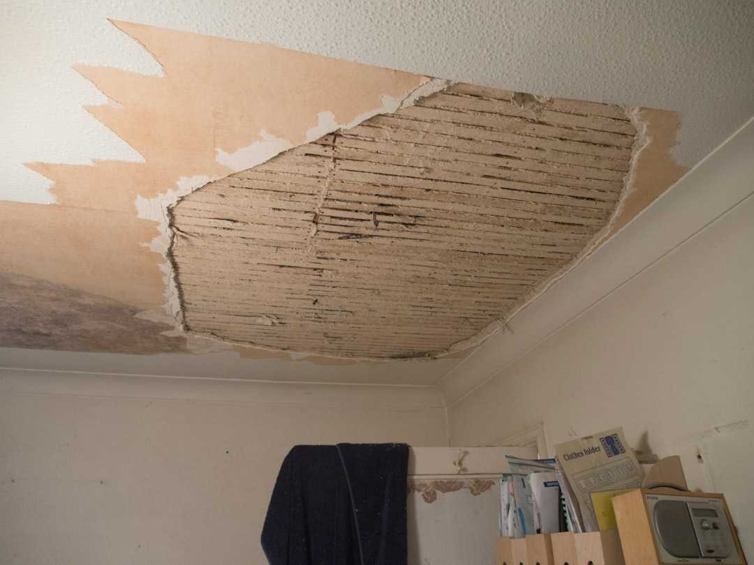 mold growth hidden behind removed drywall section