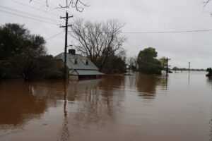flood cleanup companies near me water damage emergency response