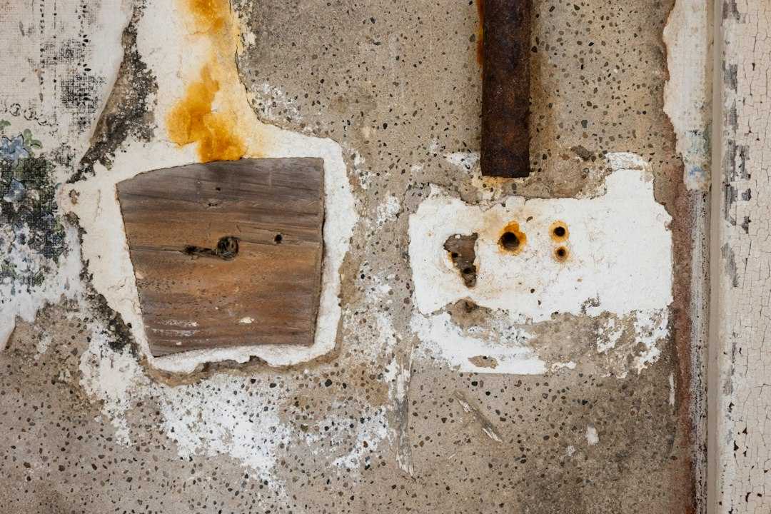 mold mitigation services