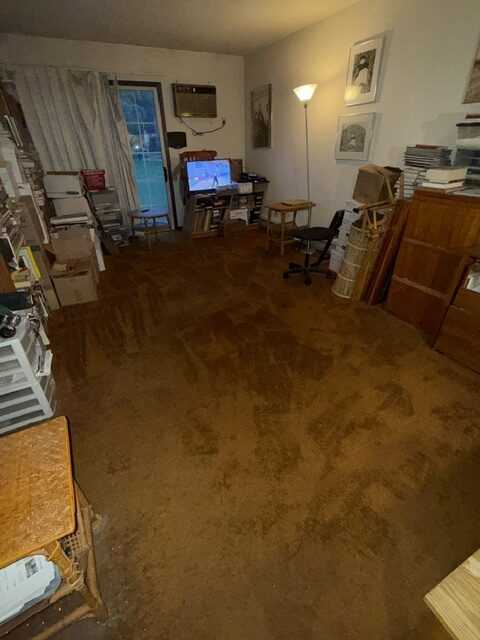 hoarding cleanup after